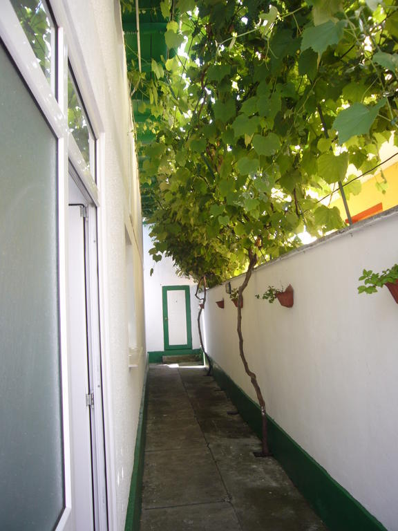 Apartamente Pinciuc Костинешти Экстерьер фото